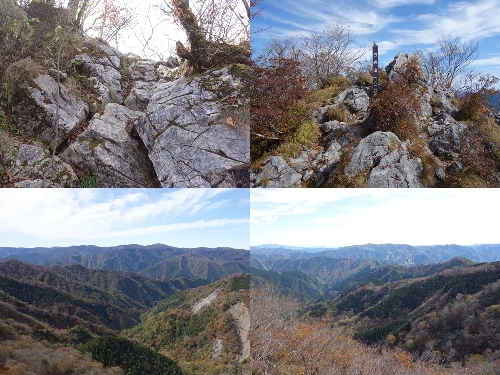 登山道から