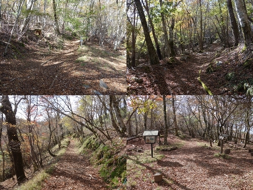 白岩峠までの登山道