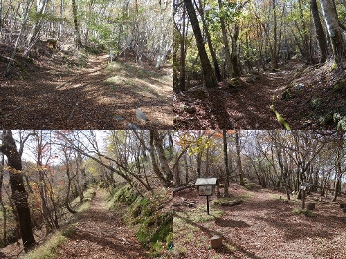 白岩山への登山道