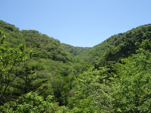 白鳥山