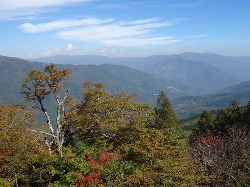 登山道から