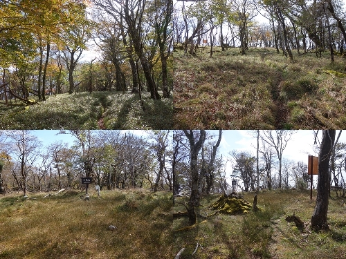 白鳥山山頂