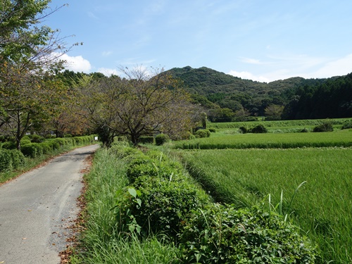 城山