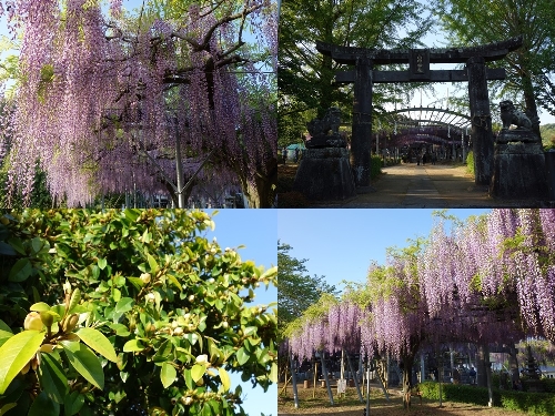 山田日吉神社