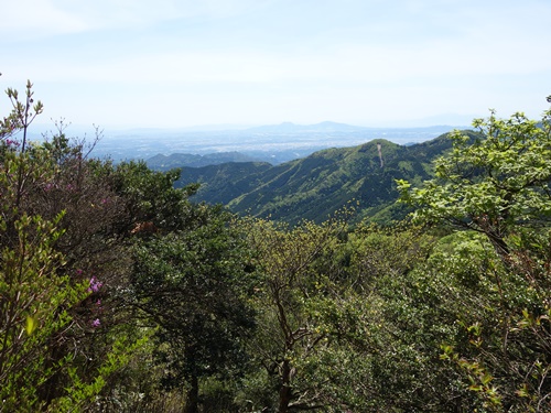 登山道から