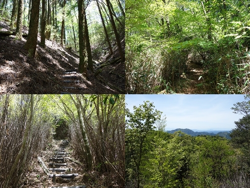 登山口周辺