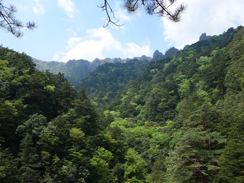 登山道から