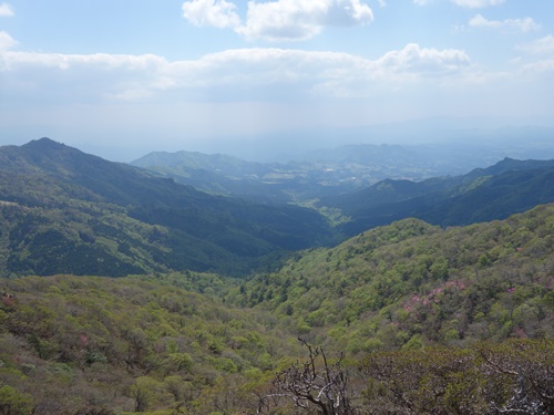 展望地点から