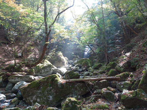 五合目の滝