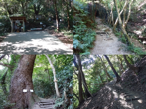 立登山口と登山道