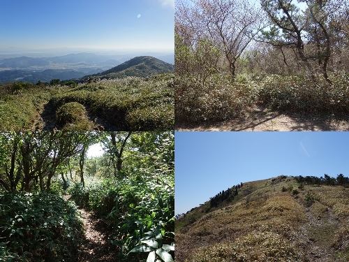 雨山