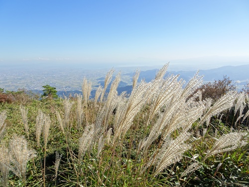 秋の登山道