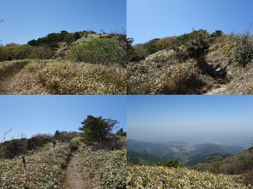 中盤の登山道