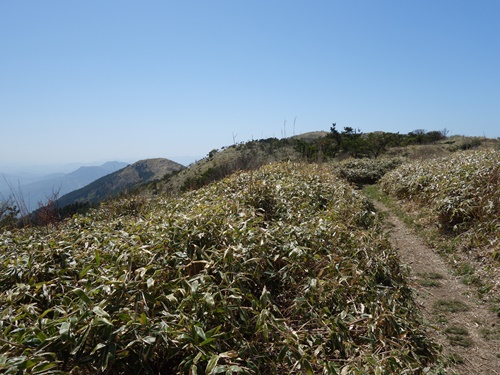 山頂手前