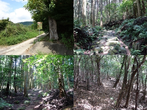 砥上神社近くからのルート