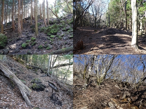 登山口からのルート