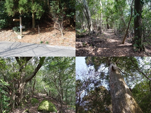 南登山口からのルート