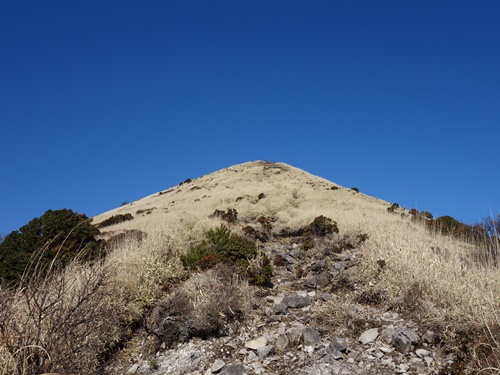 山頂手前