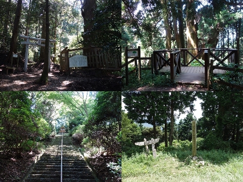 若杉山山頂まで