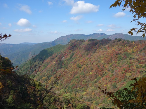 登山道から