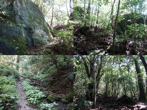 中盤の登山道