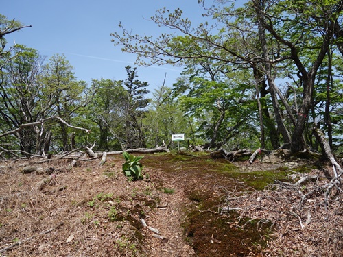 山犬切 山頂