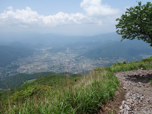 登山道から