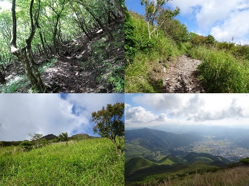 合野越からの登山道