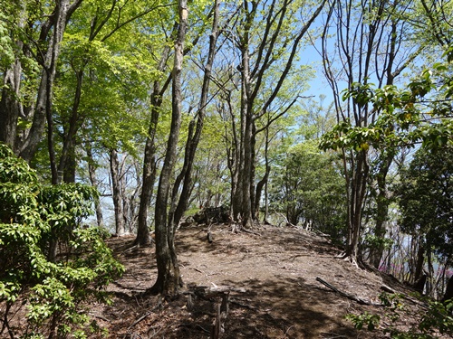 緩木山山頂