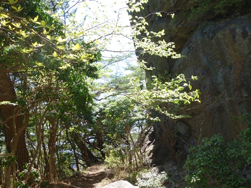 大きな岩